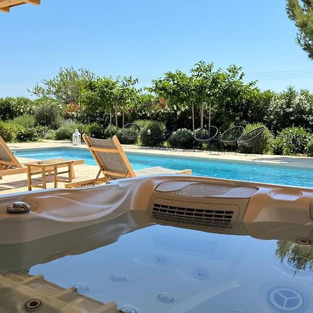 White Pearl Villa Naxos With Private Swimming Pool Naxos City Bagian luar foto