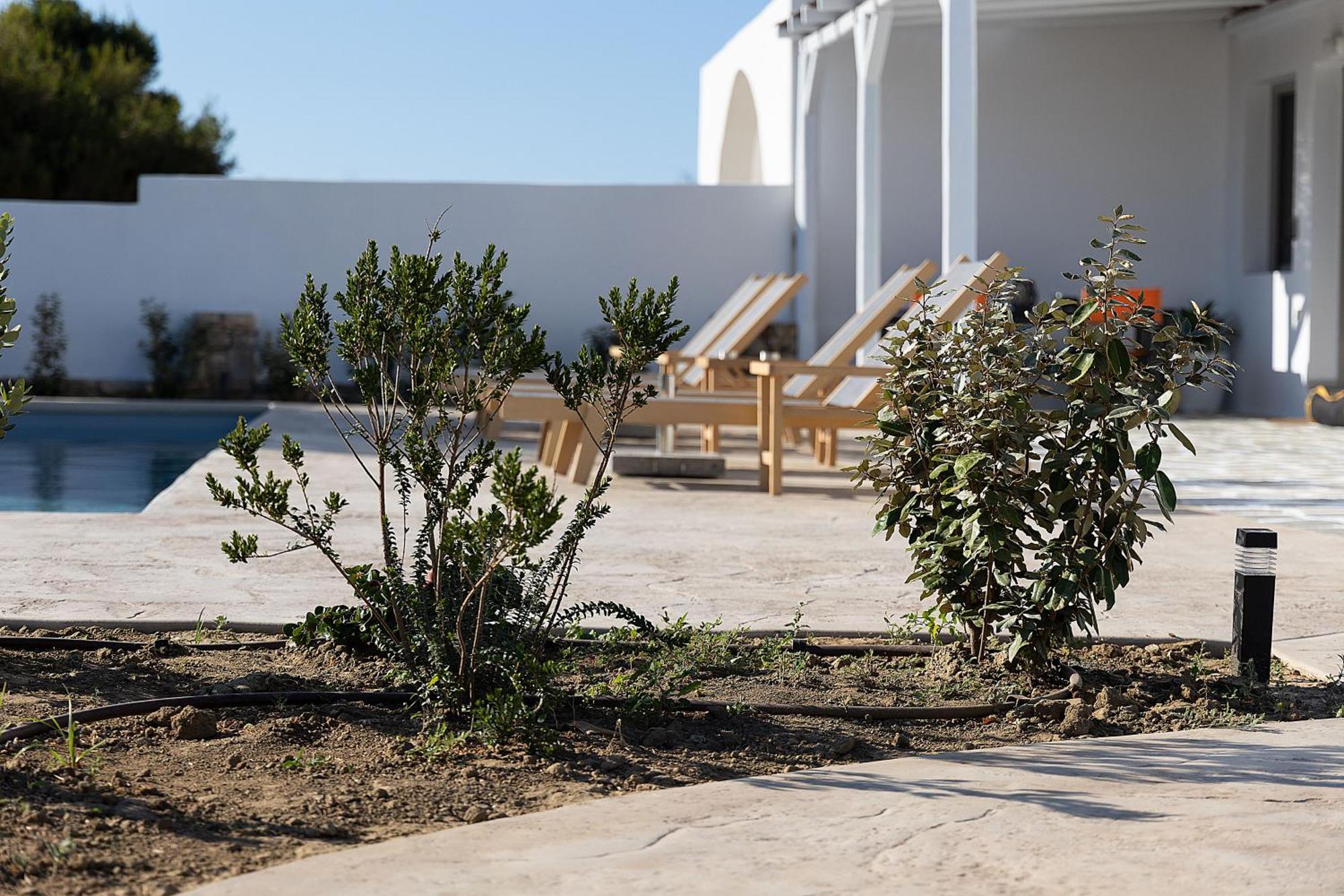 White Pearl Villa Naxos With Private Swimming Pool Naxos City Bagian luar foto