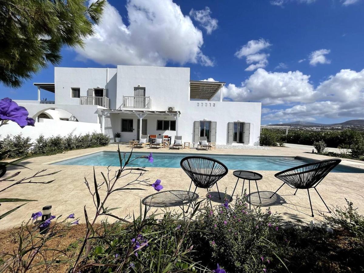 White Pearl Villa Naxos With Private Swimming Pool Naxos City Bagian luar foto