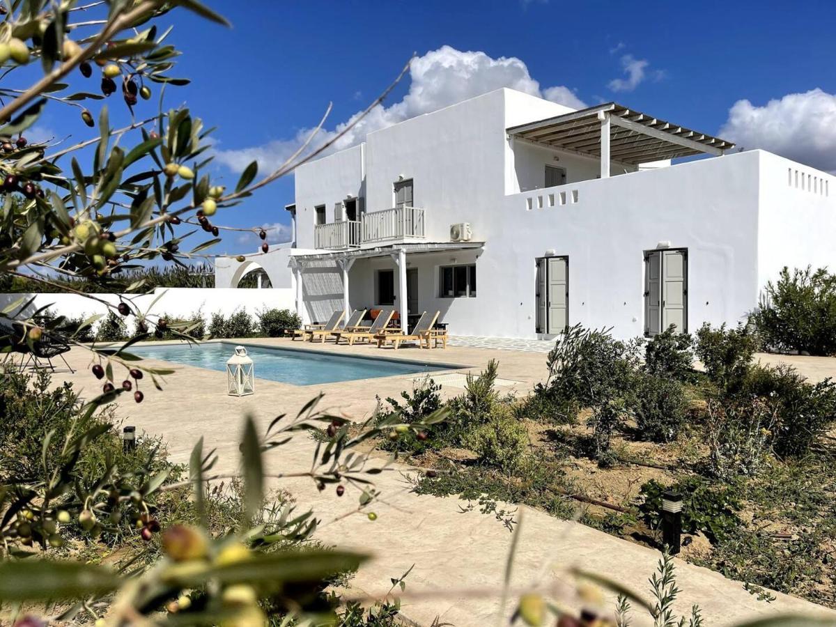 White Pearl Villa Naxos With Private Swimming Pool Naxos City Bagian luar foto