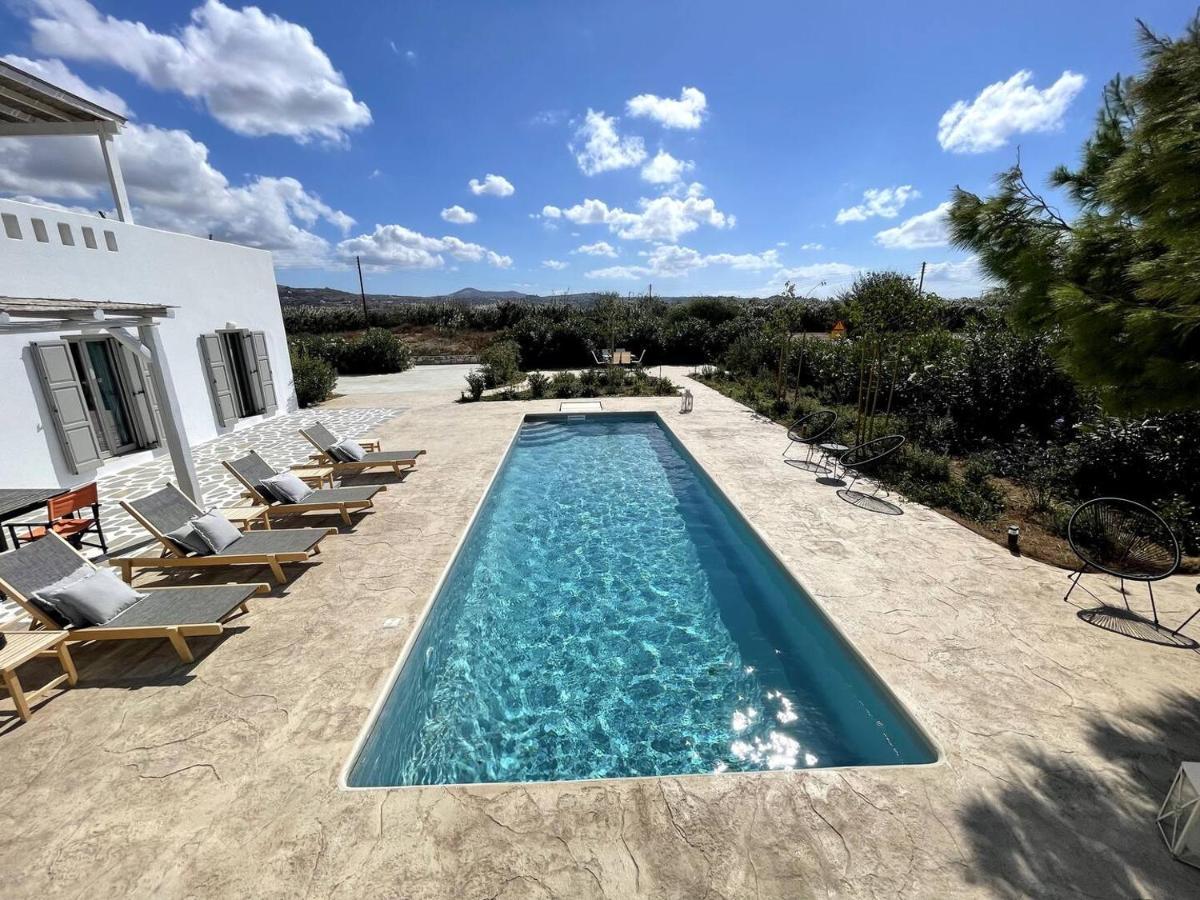 White Pearl Villa Naxos With Private Swimming Pool Naxos City Bagian luar foto